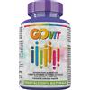BIOSALUS di Vatrella A. Sas Govit 30 capsule vegetali - - 979044979