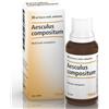 GUNA SpA Aesculus comp 30ml gtt heel - GUNA - 909468112