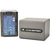 DSTE NP-FP90 Batteria di ricambio (2 pacchetti) compatibile per Sony DCR-DVD92 DCR-DVD103 DCR-DVD105 DCR-DVD203 DCR-DVD205