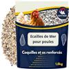 Ani'Nat NATURE ANIMALE Ani'Nat Conchiglie Macinate per Galline ovaiole e piccioni. più varietà di minerali Rispetto ai gusci di ostriche. Minerali e Calcio per gusci Solidi. (1,8kg)