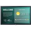 LG PROMOZIONE Lg 22 LED IPS 1920X1080 16:9 250 Cod. 22SM3G-B
