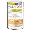 DIETMED ITALIA Srl COLLAFORCE Super 10000+Mag450 G