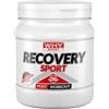 WHY SPORT RECOVERY SPORT - Integratore Alimentare a Base di Carboidrati, Proteine del Siero del Latte e Creatina Monoidrato 200 Mesh - Gusto Cioccolato - 400 gr