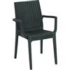 ARETA Aretha AR013 Rattan Espresso Dafne Decor Plastic Armchair