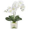 Oairse Fiori artificiali orchidee artificiali come veri fiori con fiori Real-Touch in vaso quadrato in vetro Phalaenopsis per decorazione da tavolo, davanzale della finestra, altezza 41 cm