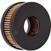JAPANPARTS JPFO-GAS21S F.Gpl Landi