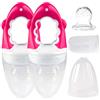 dentistar Ciuccio Bambino per Frutta & Verdura in Silicone - da 6+ mesi - Set di 2 - Set da 5 Pezzi (Cappuccio protettivo, Ciucci, Rete, Anello a vite, Maniglia) - Senza BPA - Rosa