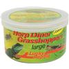 Lucky Reptile Herp Diner Erba Shoppers Grande 35 G, Confezione da (2 X 35 G)