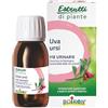 Boiron Estratti di Piante Uva Ursi - Integratore Alimentare, Ingredienti 100% di Origine Naturale, Supporta la Funzionalità delle Vie Urinarie, Estratto Idroalcolico - Flacone da 60 ml (1x60 ml)