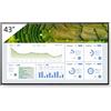 Sony Monitor 43" LCD 4K Ultra HD Nero con Dolby Vision e Wi-Fi