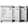 Synology HAS5300 16TB 3.5 Zoll SAS 12Gb/s - interne Festplatte (HAS5300-16T)
