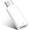 Diyuna Adattatore USB-C per Apple Pencil di 1° generazione, compatibile con iPad 10/11 generazione, adattatore di ricarica e Bluetooth per Apple Pencil 1 (bianco)
