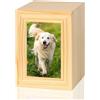 DiDiBirDi Urna per cani, in legno, scatola commemorativa per animali domestici, con cornice per foto