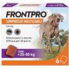 FRONTPRO 6 Compresse Masticabili Antiparassitario per Cani di Peso > 25-50 kg Protegge da Pulci e Zecche, Antipulci in Confezione da 6 Compresse da 136 mg di Afoxolaner