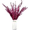 KAOHONG 20 pz Eucalipto essiccati steli di fiori secchi e conservati 17 pianta di Eucalipto Rosso fresco naturale per composizioni floreali, decorazioni per matrimoni, decorazioni per la casa