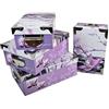 2.J. 2J Orchidea e ciottolo Set di 4 scatole di cartone con coperchio stampato Orchidea e ciottolo con angoli e maniglie in metallo. Dimensioni: 23x15x9,25x16.5x10,27x18x10.5,29x20x11cm