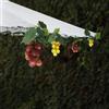 EONANT Uva solare stringa luce esterna impermeabile 80LED vite appeso illuminazione simulazione frutta decorazione piccola taverne giardino ombrellone ombrellone matrimonio festa luce (viola/verde)