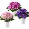 PASCH® Viole in vaso di ceramica lucida, fiori artificiali in vaso, fiori artificiali come reali, fiori finti, fiori artificiali come veri (violetta Usambara, 3 pezzi, 16 cm)