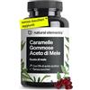 natural elements Caramelle gommose all'aceto di mele - 120 gummies con vitamina B6, B12, acido folico e iodio - vegane, senza zuccheri aggiunti, dosaggio ottimale - sviluppate in Germania e testate in laboratorio