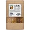 ARKA Foglie di mandorlo indiano per acquario - ARKA mySCAPE-CATAPPA 10 pezzi (8-12 cm) - cura naturale dell'acqua dolce - rafforza pesci & gamberetti - abbassa pH - stimola la riproduzione