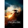 Pyramid International Maxi poster ufficiale - Come addestrare il tuo drago (poster del film) | Decorazione artistica da parete | 61 cm x 91,5 cm per camere da letto, dormitori e fan