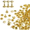 QUARKZMAN 100 Set Rivetti in Pelle Doppia Cappuccio, 9x10mm Tondo Rivetto Tubolari a Vite per Cuoio Chicago Metallo per Pelle Cintura Tessuto Collare Borsa Riparazione Decorazione, Oro