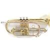 GEWA Roy Benson Bb-Cornet CR-202 (strumento in ottone leggero di alta qualità, per uso professionale, include custodia rettangolare, con set di zaini), laccato