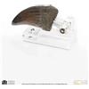 ELITE CREATURE COLLECTIBLES Jurassic Park T-Rex Hand Claw Prop Reproduction ECC