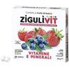 Falqui ZIGULI VIT FRUTTIBOSCO 40 CONFETTI