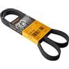 Contitech 6 PK 1306 Cinghie Trapezoidale