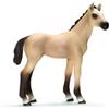 Schleich 2513702 - Puledro Achal-Tekkiner
