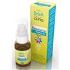GUNA RESOURCE REMEDY SPRAY 10ML - GUNA - 801644410
