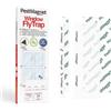 PestMagnet - 40 trappole per mosche Trasparenti (20pz + 20gratis) - Trappola per mosche e altri insetti da applicare sulle finestre, usa e getta, per interni, senza pesticidi, inodore e discreta