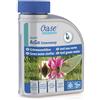 Oase ALGO Greenway 500ml ALGHICIDA Acqua Verde LAGHETTO Ornamentale