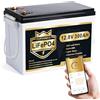 PUPVWMHB Batteria al litio Mini LiFePO4, 12 V, 300 Ah, batteria al litio, 200 A, BMS, fino a 15.000 cicli, max. 3840 Wh di energia con taglio a bassa temperatura, perfetta per RV, Solare