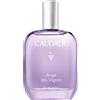 Caudalie Ange Des Vignes Eau De Parfum Donna 50ml