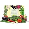 growgreens BIO Kit di sementi orto con 10 varietà di verdure - semi orto da coltivazione biologica ideale per terrazza, balcone e giardino