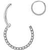 OUFER 16G 6mm Argento Daith Piercing Orecchini Helix Septum Clicker Segmento Acciaio Chirurgico Cartilagine Orecchino CZ Conch Trago Naso Anello Cartilage Earring Donna Gioielli