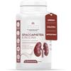 Salus Eterna Spaccapietra 500mg + Inulina 100mg 120 Capsule Integratore Naturale per Calcoli Renali e Vie Urinarie, Diuretico Drenante Forte, Detox Fegato, Depurativo, Ritenzione Idrica Made in Italy