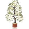 Crocon Albero di cristallo di giada verde pietra preziosa albero dei soldi albero della vita bonsai per la guarigione pietra dei chakra meditazione spirituale regalo per la casa per donne, 10-12