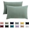 Beqnat Federa per cuscino 70x90 set da 2 - federa per cuscino 70 x 90 cm verde chiaro per cuscini 100% microfibra, federa antirughe e antipieghe con chiusura lampo