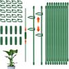 LeLiangLiang 50 Pz Supporto per Piante, 30 cm Supporto Piante Orchidea, Sostegno per Piantes Regolabili, Supporti per Perenni interno orchidee pomodori + clip/connettori
