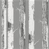 Rasch home style 285420 - Carta da parati in carta grigia con tronchi di betulla, foresta di betulla, 10,05 m x 0,53 m