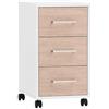 Schildmeyer Metz 161106 - Contenitore arrotolabile in rovere canello, 32,6 x 39 x 59,7 cm, colore: Bianco opaco