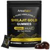 Onznoz Caramelle gommose allo shilajit - Caramelle gommose allo shilajit puro dell'Himalaya Gold 3000 mg, oltre 85 oligoelementi, la forza e la capacità di sopportazione, senza OGM 60 pcs