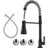 LIWEIKE Rubinetto solo Acqua Fredda, Girevole a 360° Rubinetto Cucina Acqua Fredda Nero 3 Modalità di Spruzzo, Acciaio Inox 304