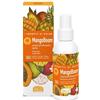 Helan I Sorbetti Di Helan Mangoboom Acqua Idratante 100 Ml