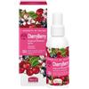 Helan I Sorbetti Di Helan Cherryberry Acqua Profumata Spray Idratante 100 Ml