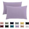 Beqnat Set di 2 federe per cuscino 70 x 90 cm, lavanda, per cuscino, 100% microfibra, non necessita di stiratura e senza pieghe con chiusura lampo