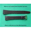 Cobra 20 MM Lucertola Autentica Marrone Scuro Taglia XL Extra Piatto 14 MM Cappio